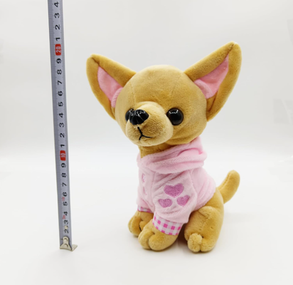 Un perro muy lindo, el chihuahua.